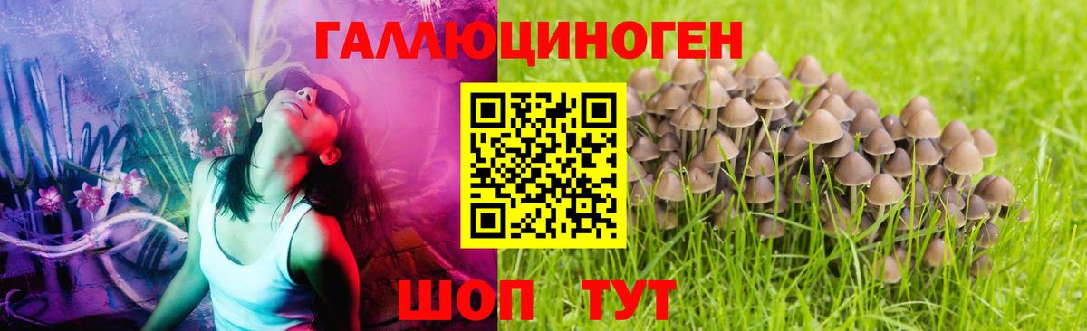 где найти наркотики  Галлюциногенные грибы прущие грибы  Вход с VPN  Псилоцибиновые грибы Psilocybine cubensis  Верхний Уфалей 